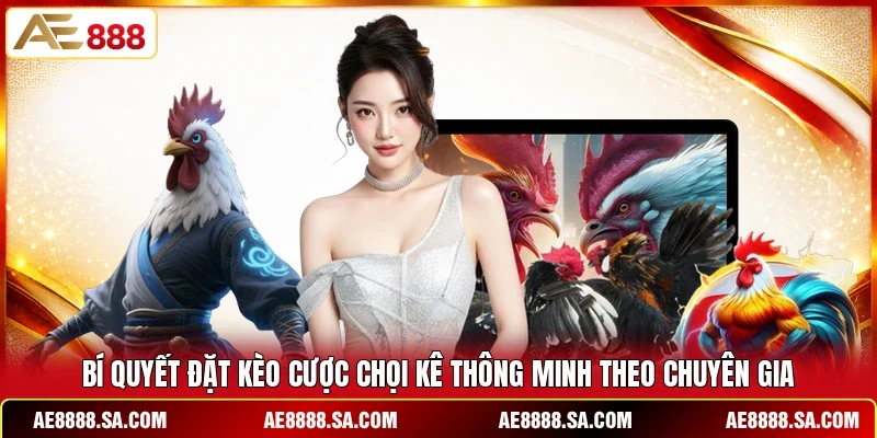 Bí quyết đặt kèo cược chọi kê thông minh theo chuyên gia