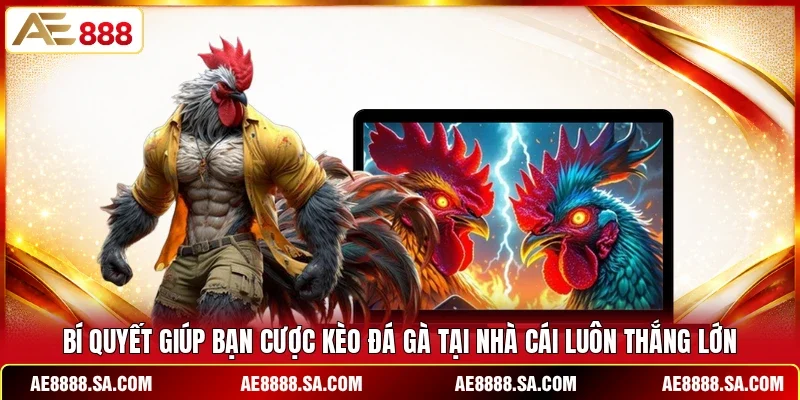 Bí quyết giúp bạn cược kèo đá gà tại nhà cái luôn thắng lớn
