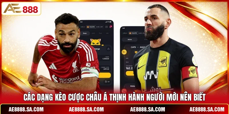 Các dạng kèo cược Châu Á thịnh hành người mới nên biết