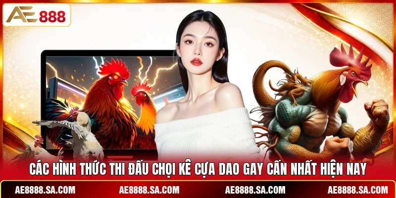 Các hình thức thi đấu chọi kê cựa dao gay cấn nhất hiện nay