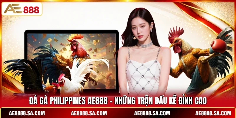 Đá Gà Philippines AE888 -  Những Trận Đấu Kê Đỉnh Cao