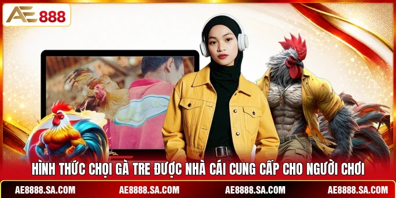 Hình thức chọi gà tre được nhà cái cung cấp cho người chơi