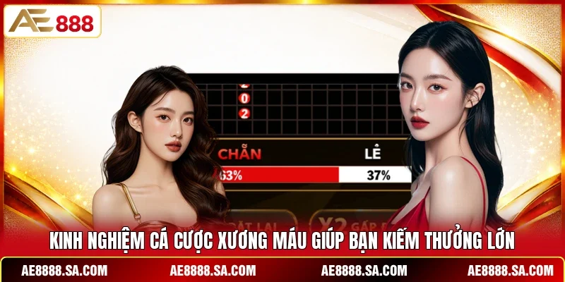 Kinh nghiệm cá cược xương máu giúp bạn kiếm thưởng lớn