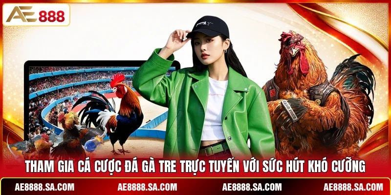 Tham gia cá cược đá gà tre trực tuyến với sức hút khó cưỡng