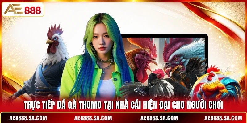 Trực tiếp đá gà Thomo tại nhà cái hiện đại cho người chơi